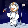 Astronaut Penguin